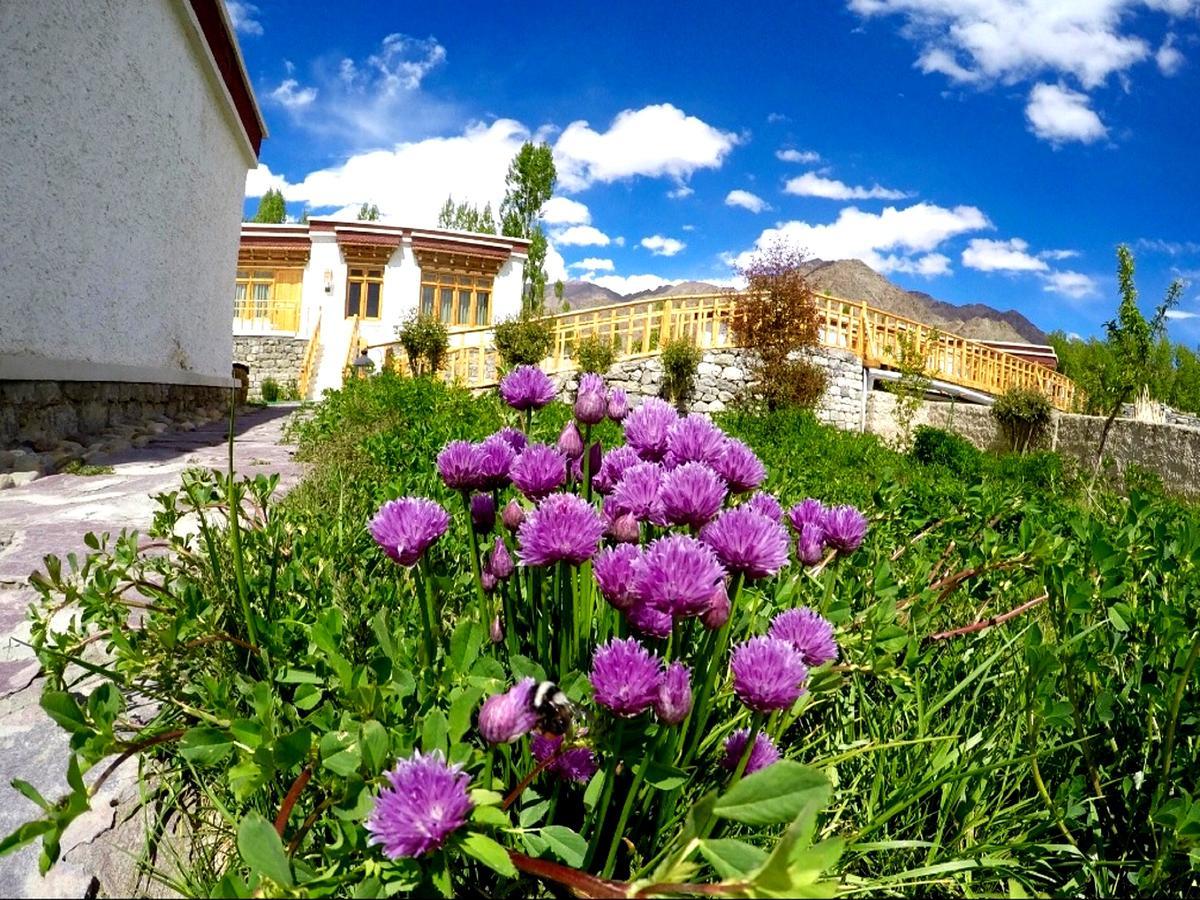 Saboo Resorts Leh Dış mekan fotoğraf